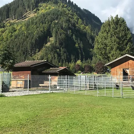 Pony Ziegen Hasen Ranch In Daire *
